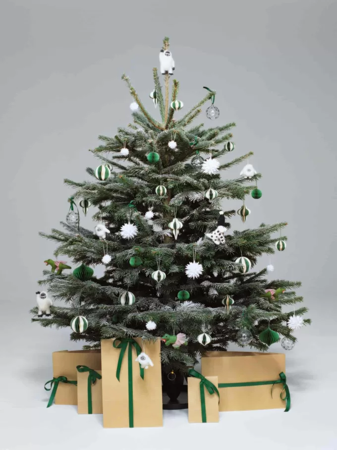 En värld av hantverkspappersstjärna En värld av hantverkspappersstjärna