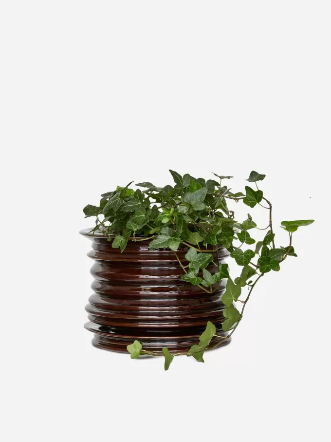 Keramisk växtkruka Keramisk växtkruka