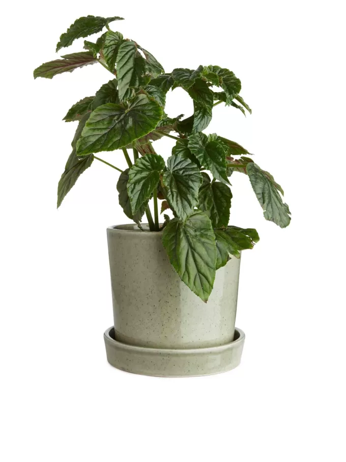 Stengodskruka 18 cm Stengodskruka 18 cm