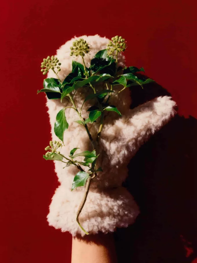 Vadderade Pile vantar